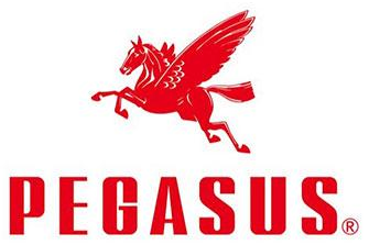 Pegasus